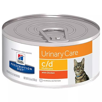 The 8 best cat foods for urinary tract health in 2021