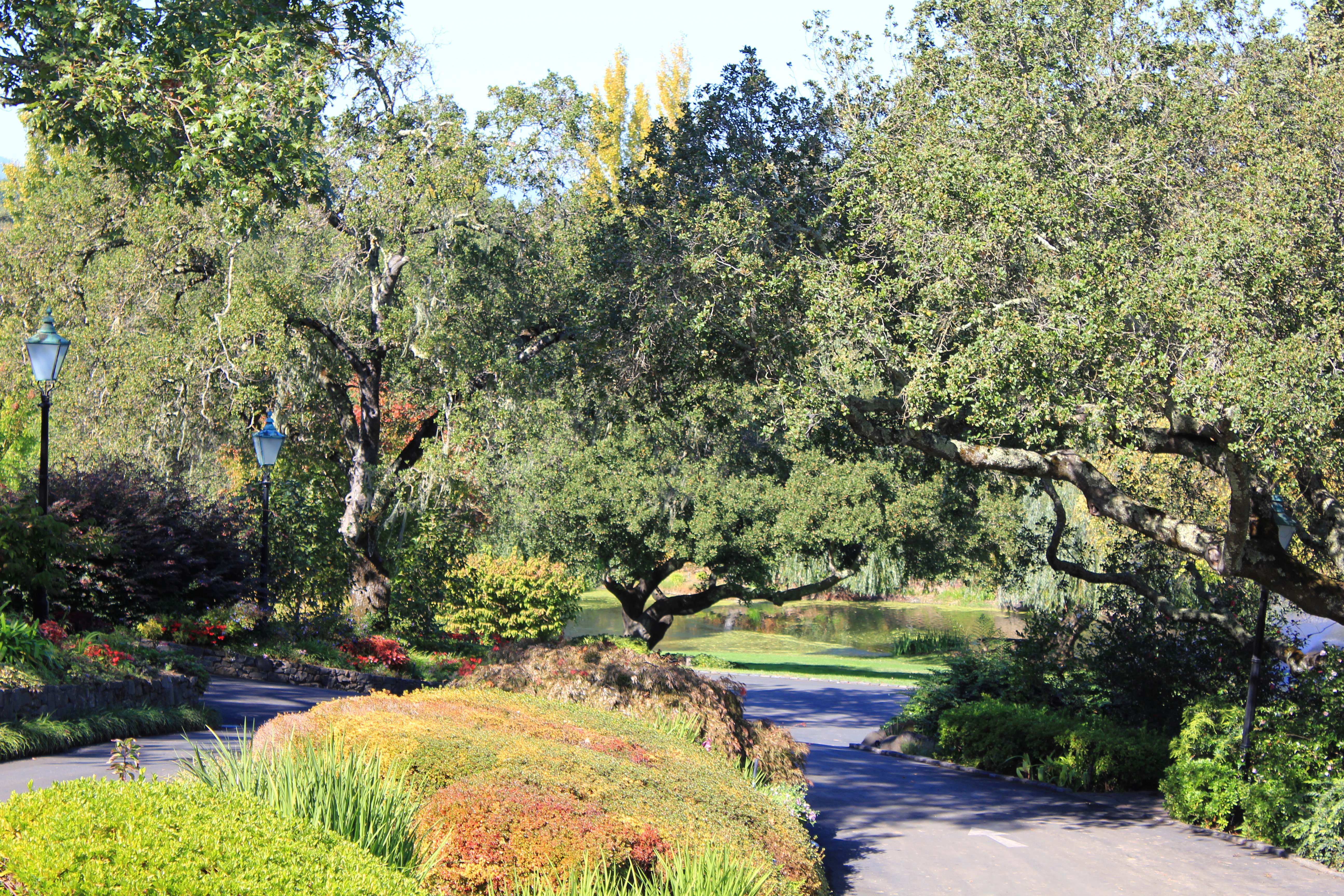 Oakville CA - Far Niente Winery