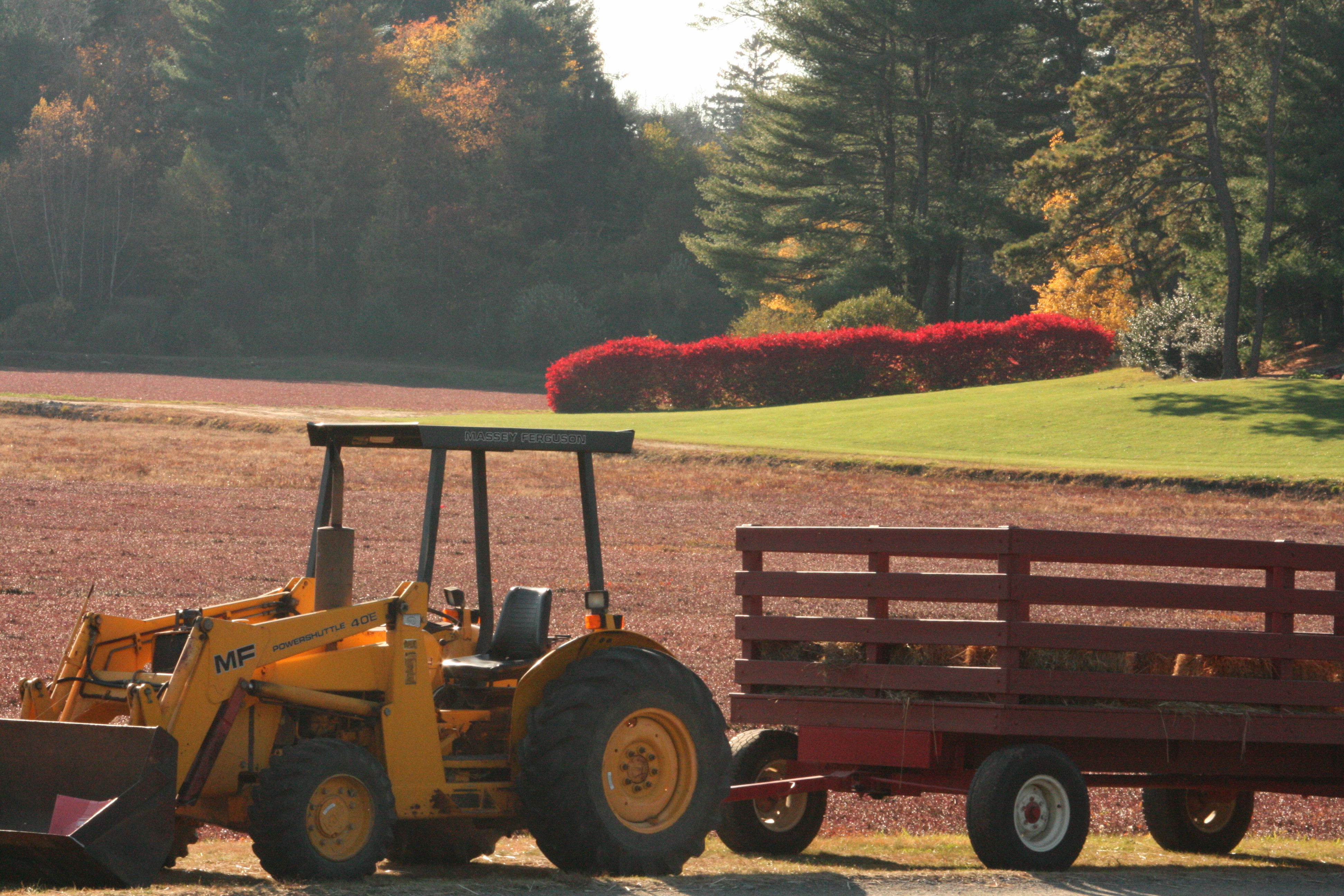 Kingston MA - Bog Hollow Farm