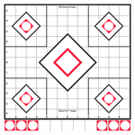 Birchwood Casey B/C TARGET SHOOT-N-C 12"