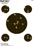 Champion CHAMPION VISICOLOR TARGET
