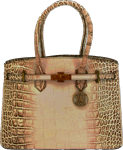 Cameleon CAMELEON S&W CROC HANDBAG