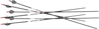 Easton EASTON ARROW FMJ 5MM 400