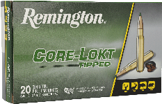 Remington REMINGTON 243 WIN 95GR TIPPED