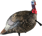 Avian X AVIAN X LCD QUARTER STRUT JAKE