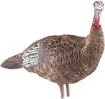 Avian X AVIAN X LCD LOOKOUT HEN DECOY