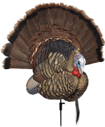 Avian X AVIAN X TROPHY TOM DECOY