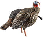 Avian X AVIAN X HDR JAKE DECOY