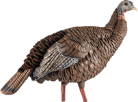 Avian X AVIAN X HDR HEN DECOY