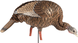 Avian X AVIAN X HDR FEEDING HEN DECOY