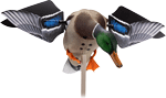 Avian X AVIAN X POWERFLIGHT SMART