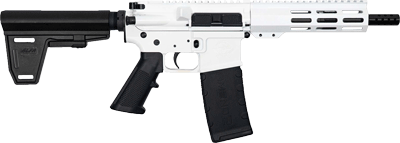 Great Lakes Firearms & Ammo GLFA AR15 PISTOL W/BRACE 223