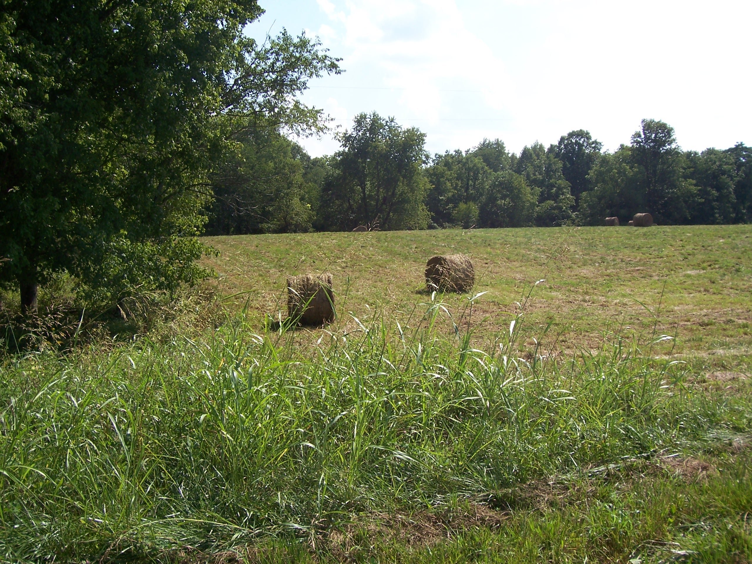 Horse Lover s Paradise Anyone Looking For Acreage Next To Big South horse-lover-s-paradise-anyone-looking-for-acreage-next-to-big-south