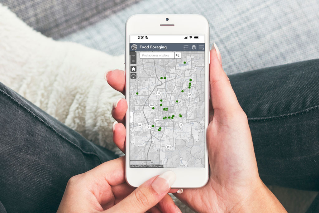 Launches Online Map For Food Foraging Flyer Foraging 