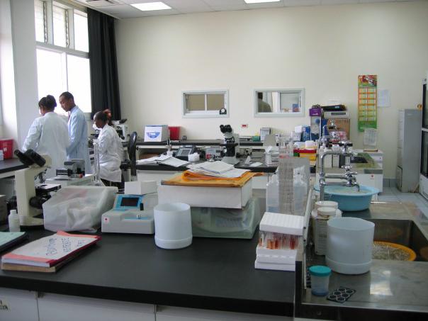Прокол пальца для забора крови на исследование. Анализ крови из пальца