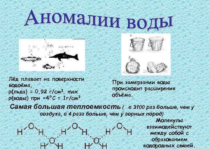 Аномалия плотности воды. Аномалии воды и их характеристика. Структура и формы льда