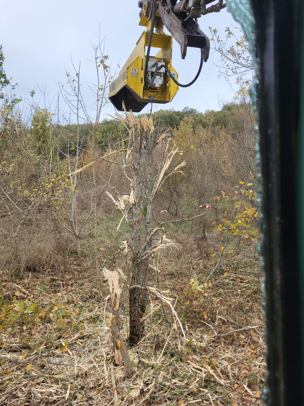 Broyage forestier