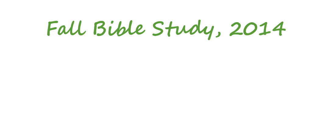 Fall Bible Study 2014