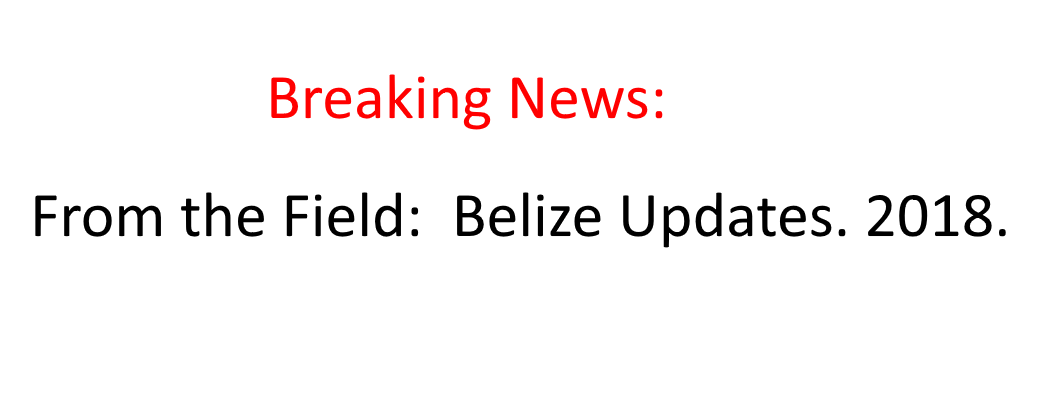 Belize 2018 Field Updates.