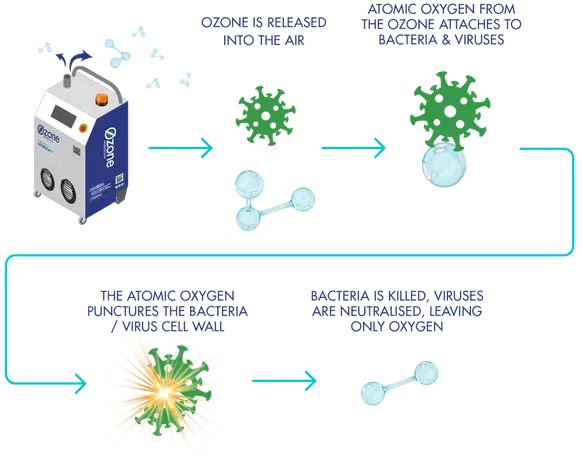 Top-rated auto detailing in Dickinson, TX