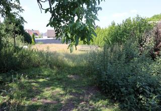 Erdgeschosswohnung In Neukirchen Vluyn Immobilienscout24