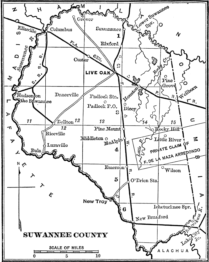 Map Of Suwannee County Florida F2195 