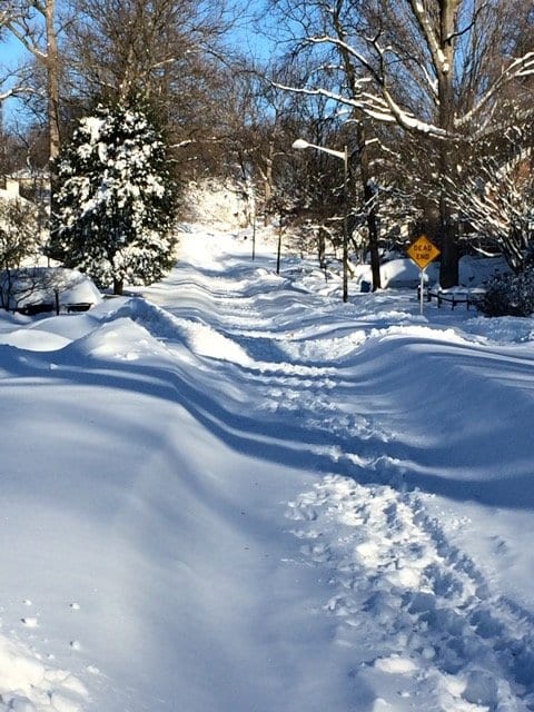 The road to Mount Daniel Elementary School. (Photo: Kristin Sherard)