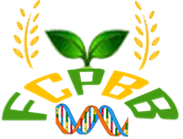 Github Horbassa Theevent - Artistic Geometric Photo - Full HD