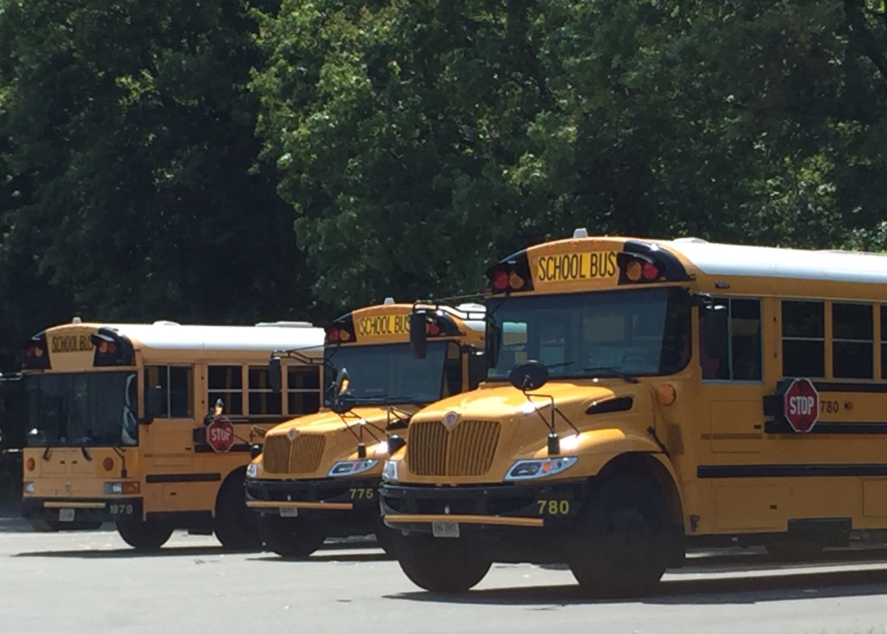 Three Buses2