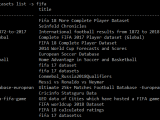 Searching And Downloading Kaggle Datasets In Command Line Fc Python