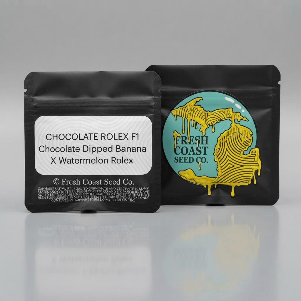 Chocolate Rolex F1