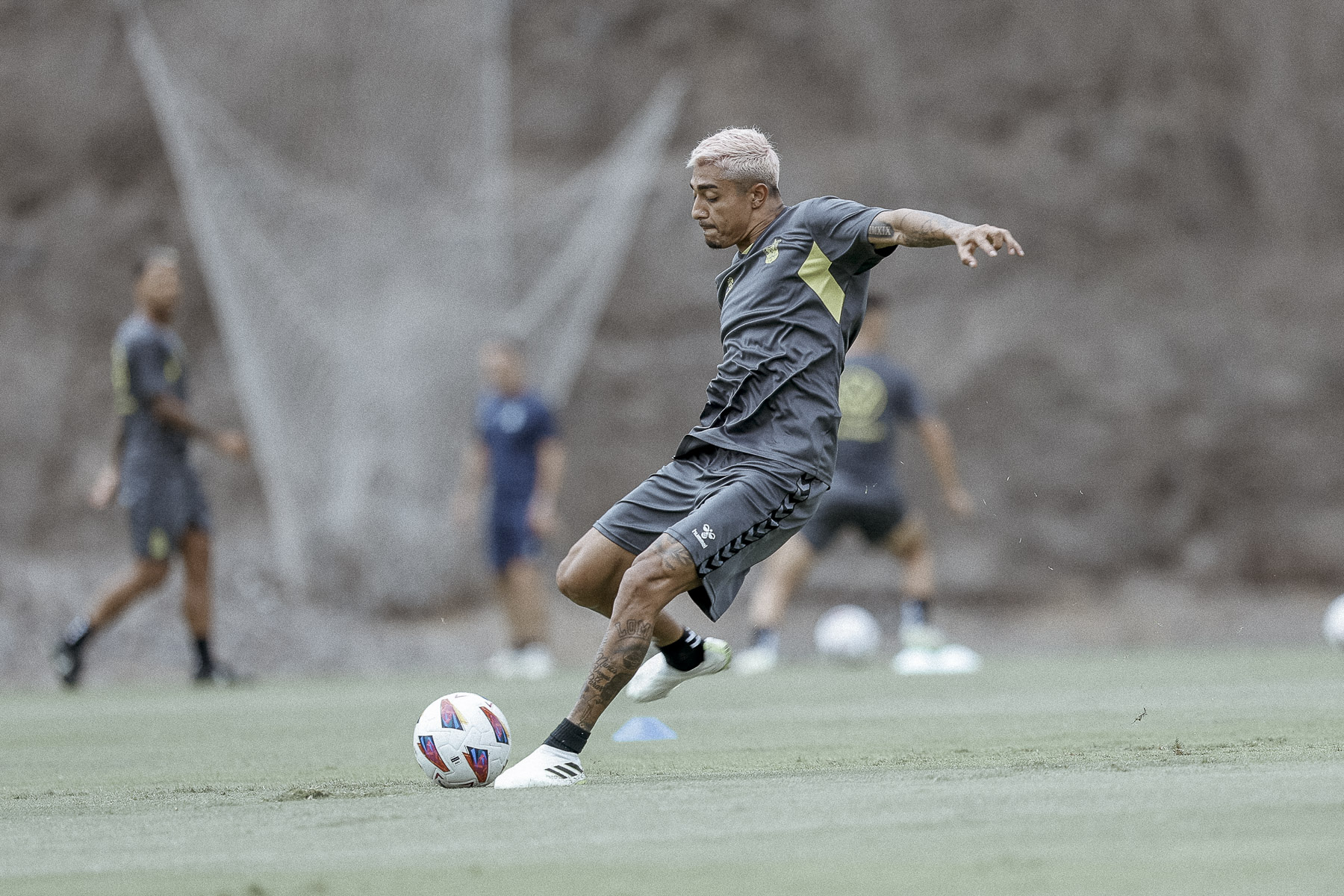 Habló Araujo
