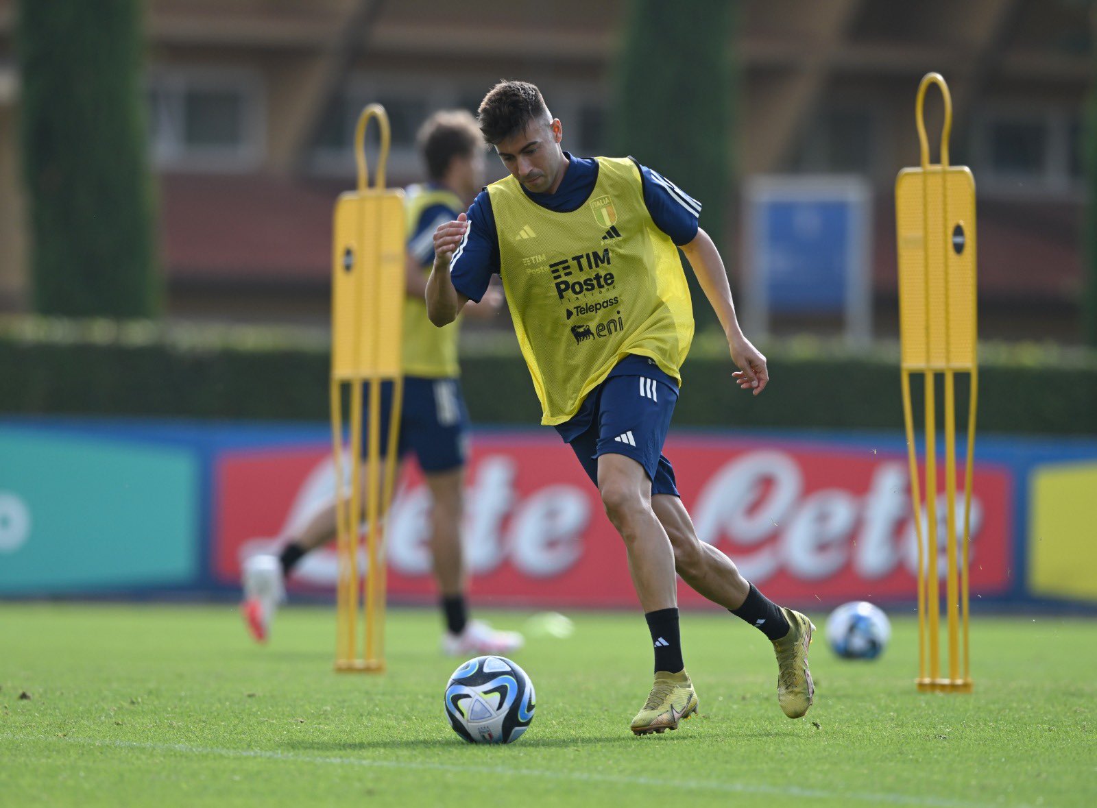 Stephan El Sharaawy en la selección