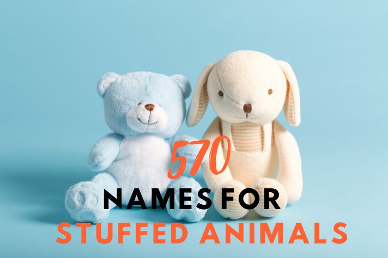 570 names for stuffed animals (cute, funny, unique & more!)