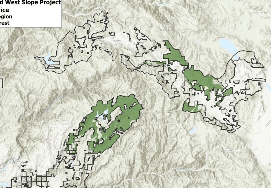 Us forest service / logging