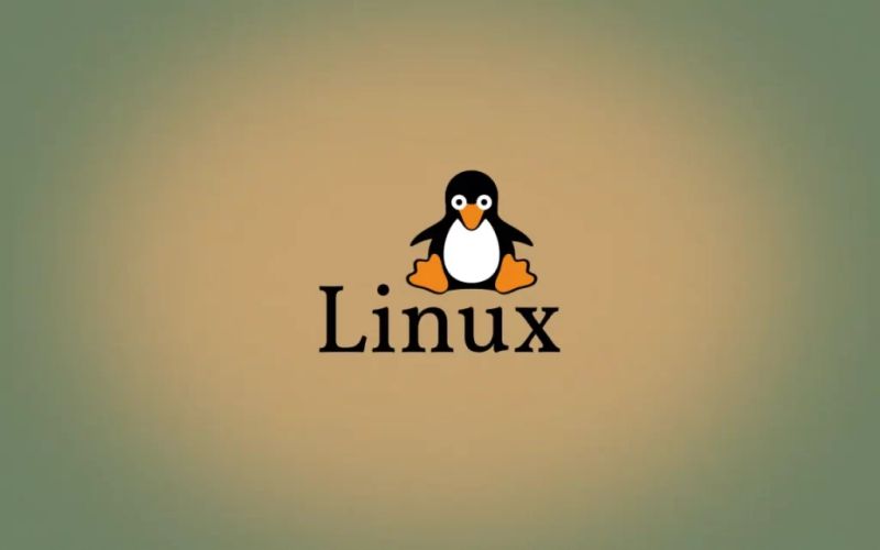 Exploring Linux With Ease Introducing Linux Process Explorer Techjek - Premium Dark Wallpaper - Retina