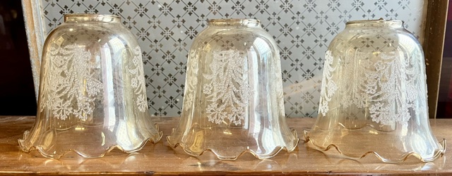 Set of 3 bell shaped glass shades, pale amber colouring, scalloped edge with delicate botanical etch detail, H 11cm x 12cm diam, opening 4.5cm (L453) $75 set of 3 salvaged vintage recycled, demolition, reproduction, restoration, home renovation secondhand, used , original, old, reclaimed, heritage, antique, victorian, art nouveau edwardian georgian art deco