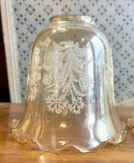 Detail of set of 3 bell shaped glass shades, pale amber colouring, scalloped edge with delicate botanical etch detail, H 11cm x 12cm diam, opening 4.5cm (L453) $75 set of 3 salvaged vintage recycled, demolition, reproduction, restoration, home renovation secondhand, used , original, old, reclaimed, heritage, antique, victorian, art nouveau edwardian georgian art deco