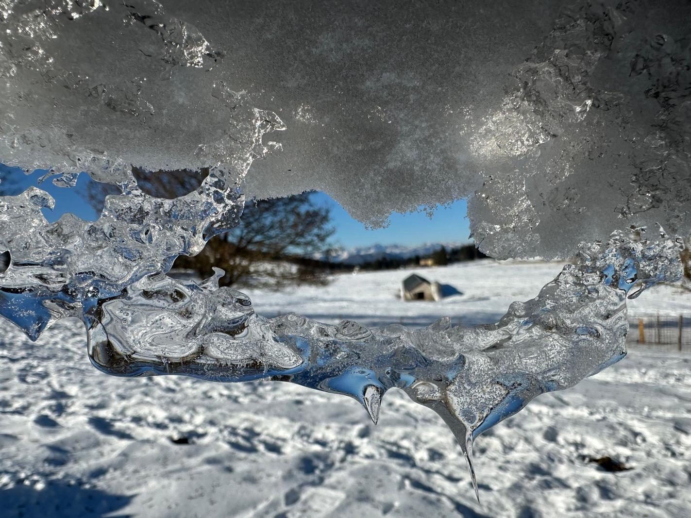 Image copyright Gregorio Marafioti