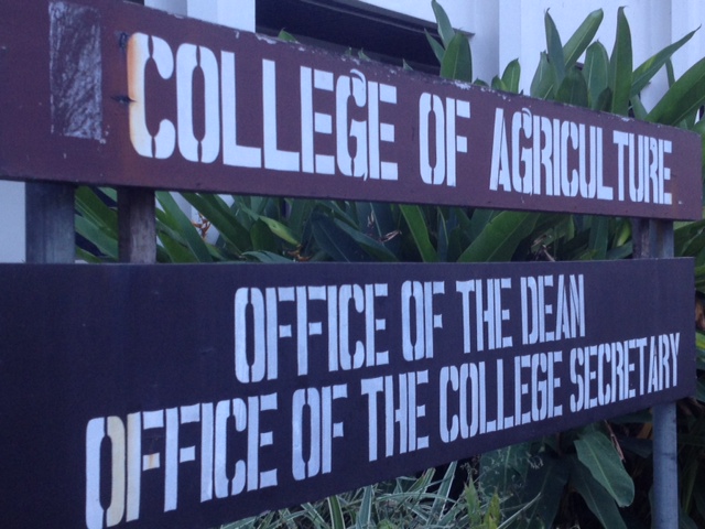 FEED, UPLB, AFP and Elementary School Tree Planting December 12, 2012
