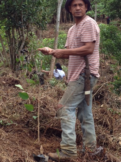 UPLB Contract Farmer