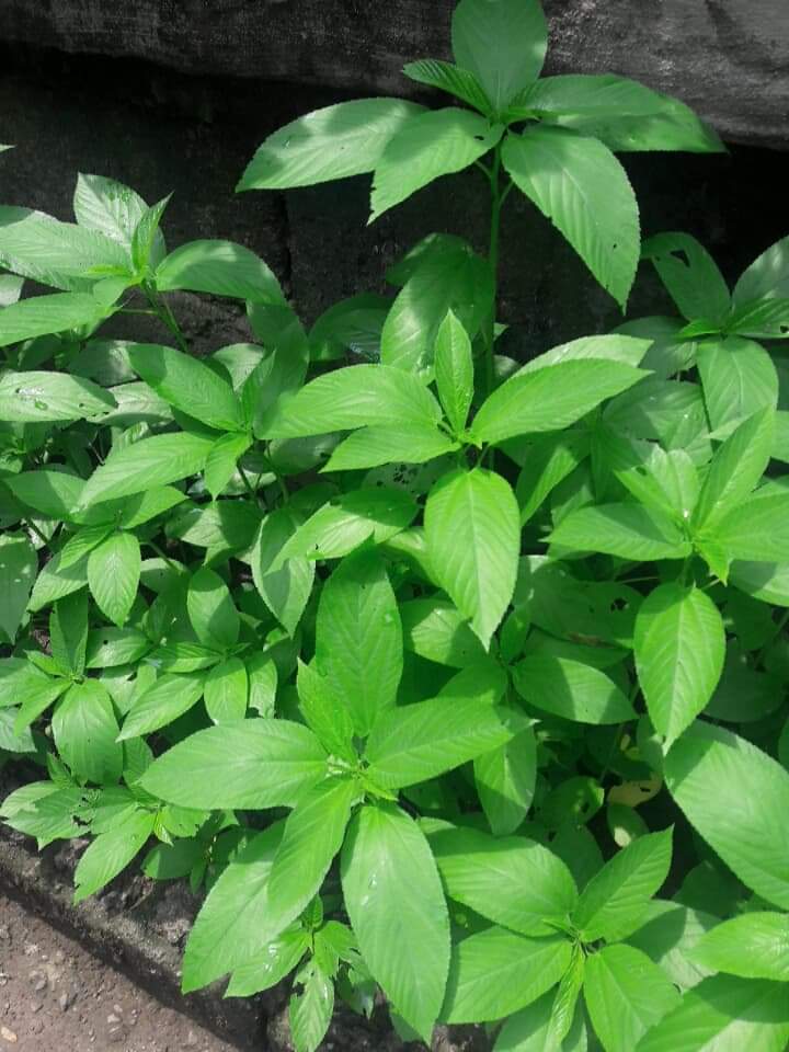 received_2402498273411037