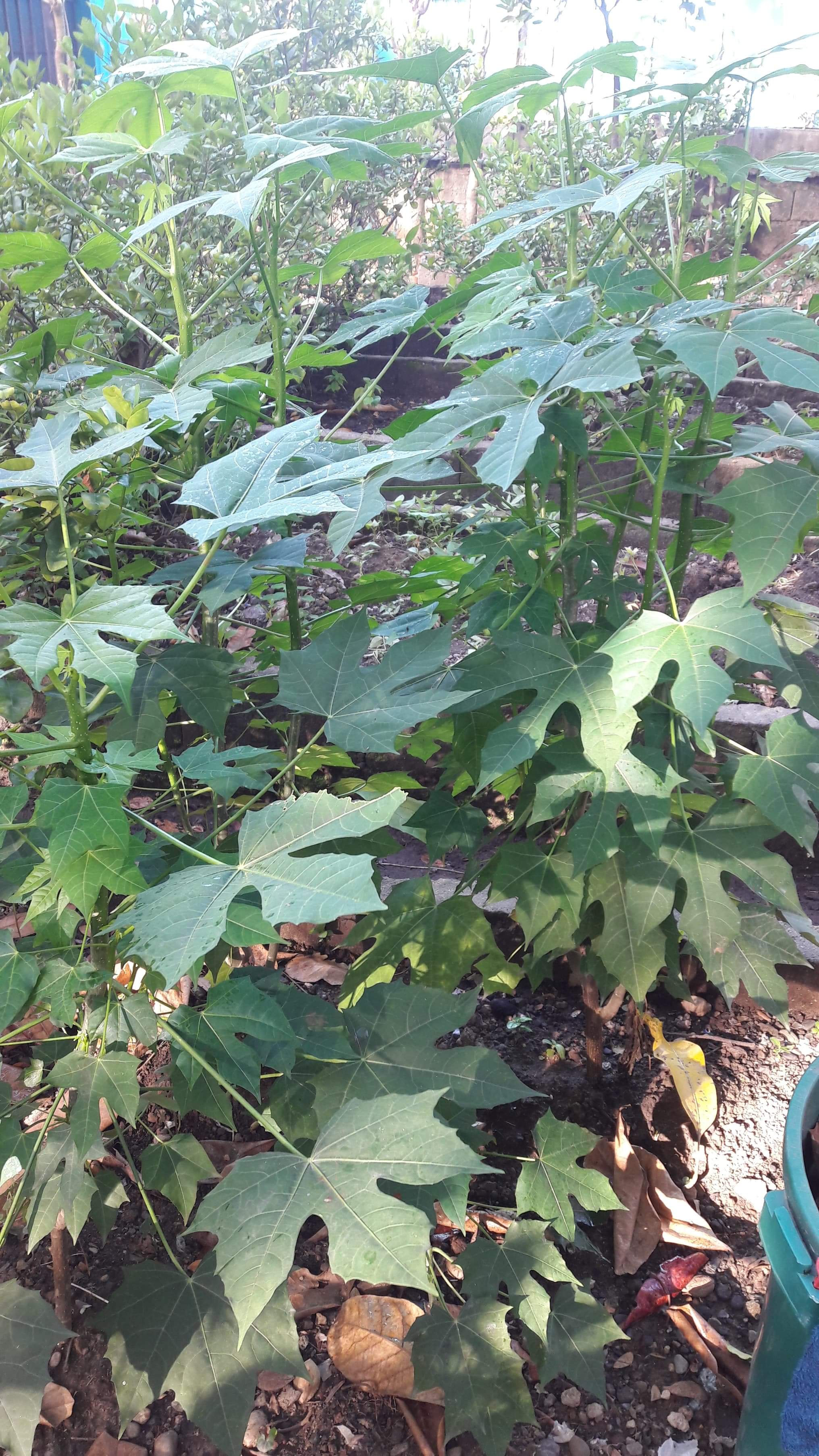 received_533152004113046