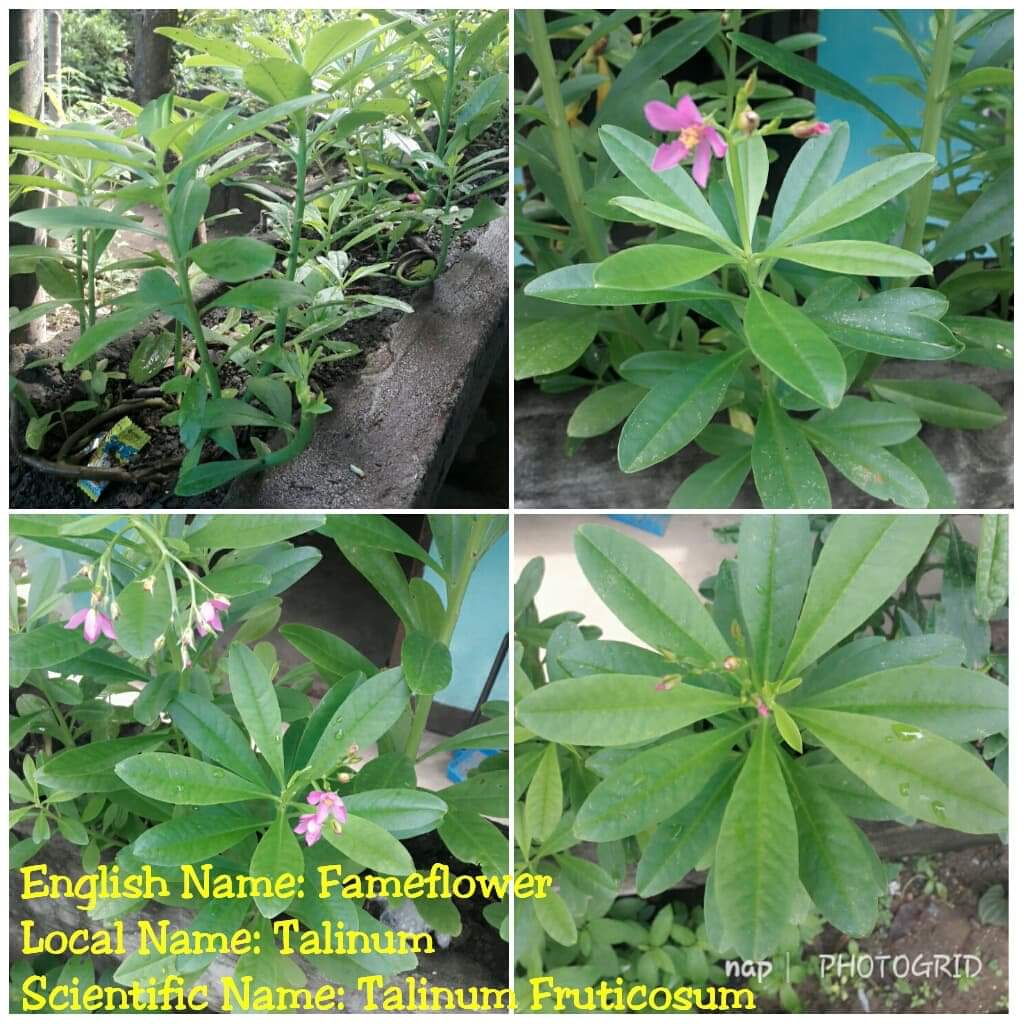 received_741511019655288