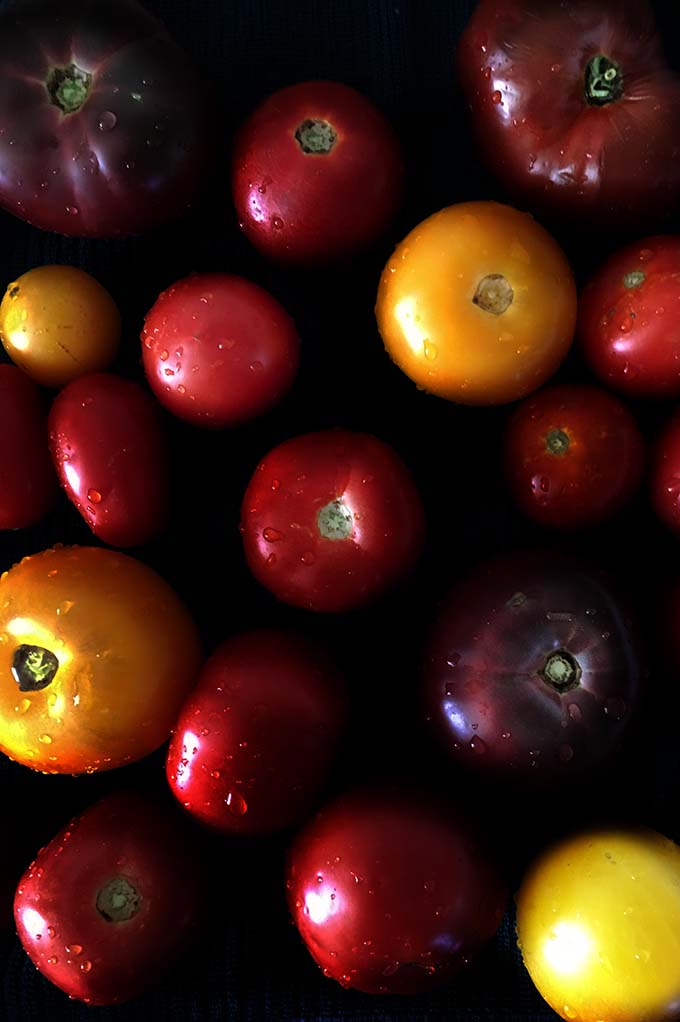roasted tomato sauce