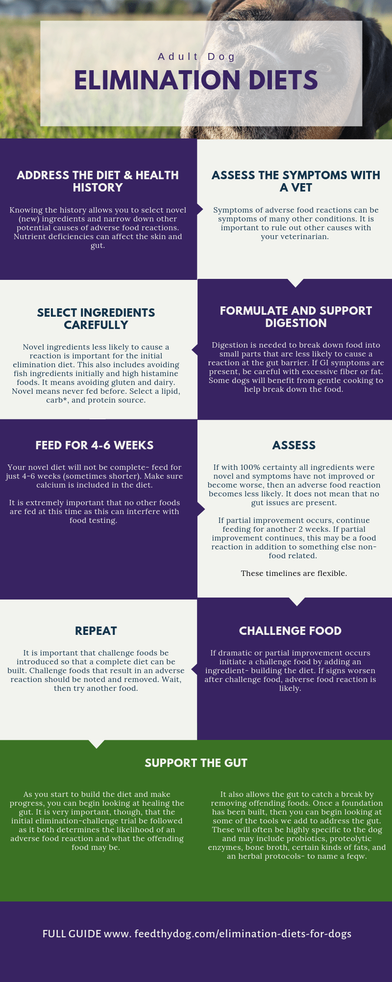 picture Elimination Diet Recipes For Dogs how to do an elimination diets for dogs