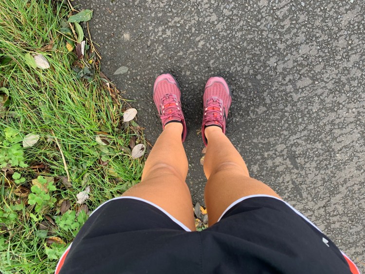 Brooks Cascadia 15.