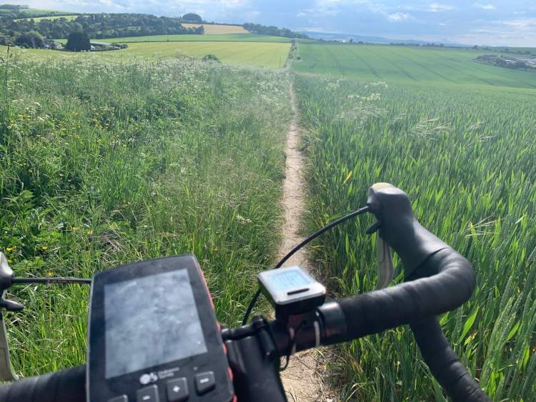 King Alfred's Way