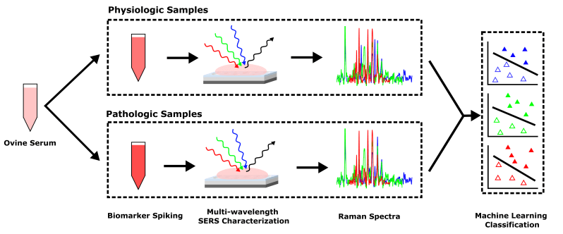 Felix Ivander - Nature Images - High Quality HD Collection