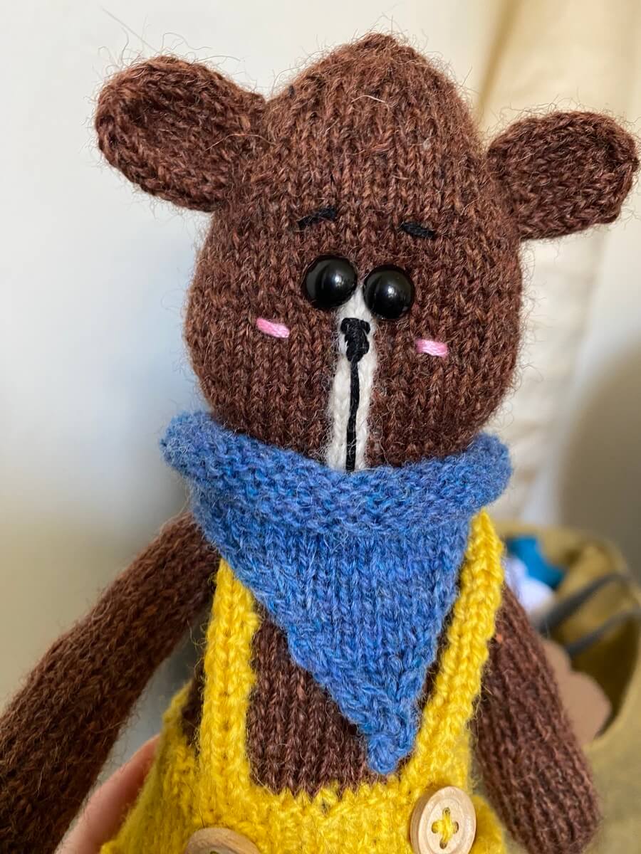 Mason bear closeup
